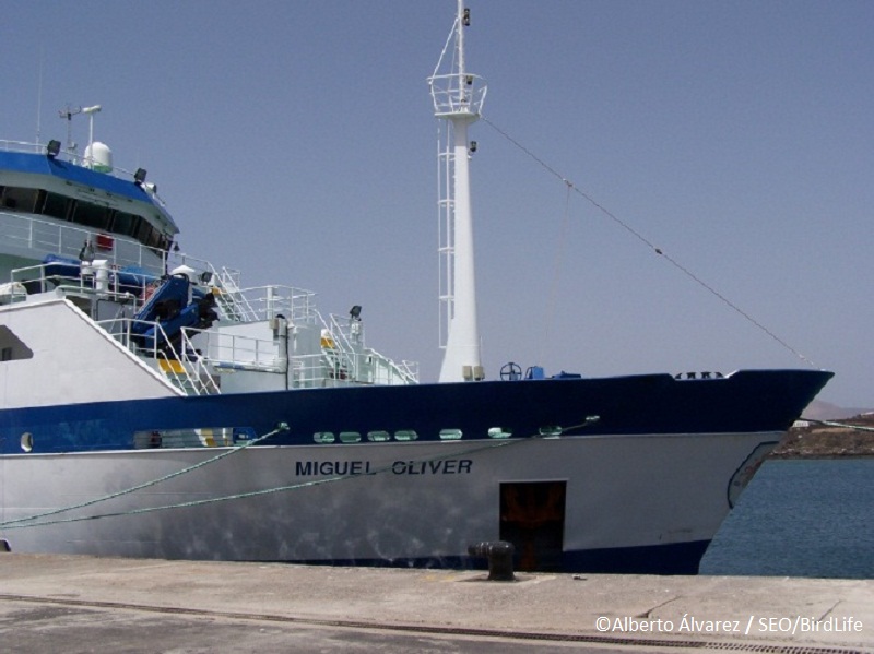B/O Miguel Oliver ©Alberto Álvarez / SEO/BirdLife