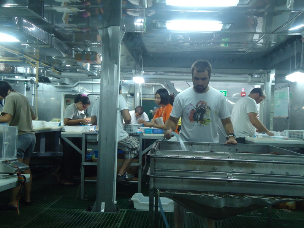 Científicos clasificando las muestras obtenidas y triando la próxima caja de muestras. Campaña Agosto - Septiembre 2011 Canal de Menorca © IEO