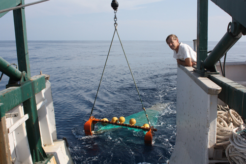 Llegada a bordo del bou de vara. Foto: Sebastián Martín