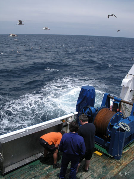 Las gaviotas son permanente acompañamiento a lo largo de la navegación, e incluso en puerto. La marejadilla se hace notar en el día de hoy aunque todavía nos permite continuar con el trabajo ©IEO