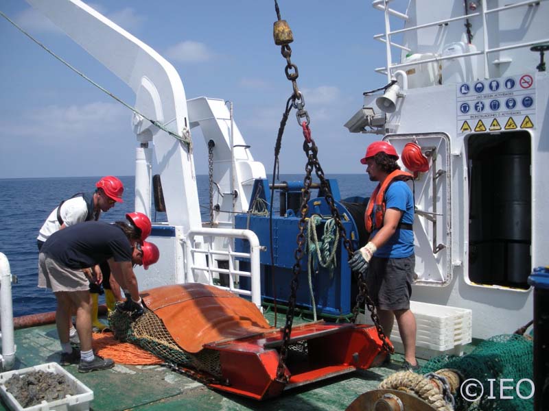 La draga de arrastre bentónico acaba de recuperarse y nos disponemos a abrir el copo para ver el material que ha recogido ©IEO