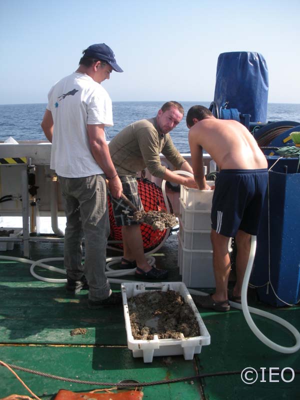 Un equipo bien sincronizado y bien coordinado. José Luis Rueda, Carlos Farias y Emilio González. Los tres parece que compiten por ver quien trabaja con mayor intensidad y más meticulosamente. Se embeben en sus papeles y cooperan unos con otros dando como 