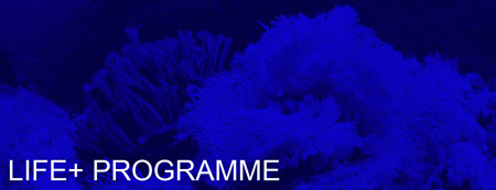LIFE Programme