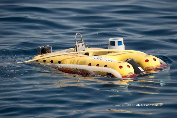 Seco de los olivos Julio 2011 © OCEANA