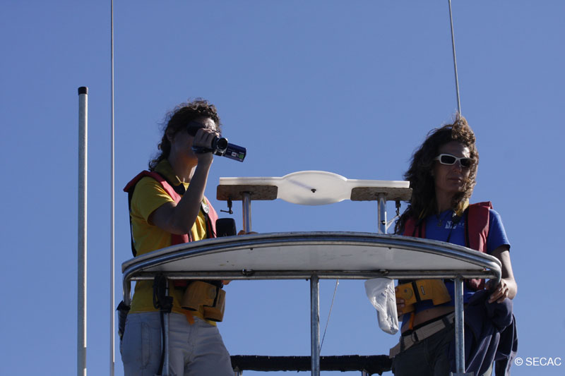 Fotoidentificación de un cachalote (Physeter macrocephalus) © SECAC