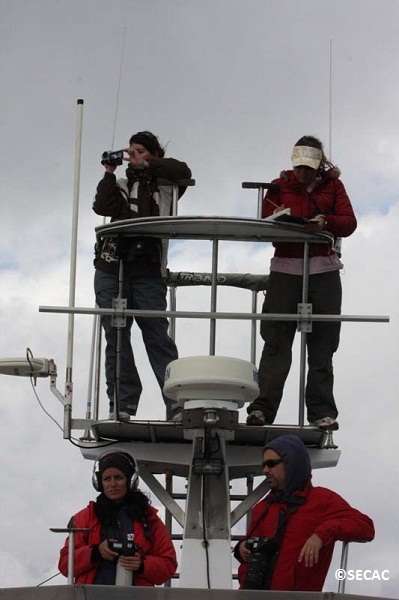 Seguimiento acústico de cachalotes (c) SECAC