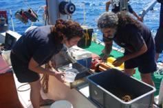 ©OCEANA/Thierry Lannoy