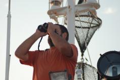 © SEO/BirdLife - Felix Camará