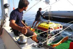 © OCEANA / Ángeles Sáez