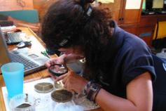 ©OCEANA/Ángeles Sáez