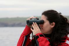 Un miembro de CEMMA realizando su turno de avistamiento ©CEMMA