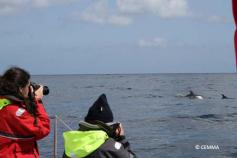 Whale watching. Cañón de Avilés May and June 2011 Campaign  © CEMMA