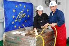 Clasificación de las muestras obtenidas con draga de roca ©IEO