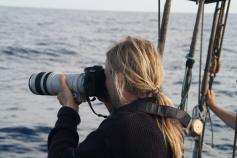 Tomando imagenes para su futura fotoidentificación / Taking pictures for the photoidentification ©CIRCE/ALNITAK