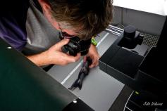 Rafa Bañón examinando una quimera del género (Hydrolagus)