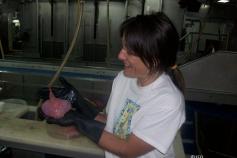 El pez globo rojo (Chaunax pictus) © IEO