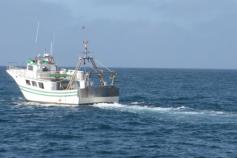 Arrastrero en plena faena, con el arte calado atravesando una de las líneas que hemos realizado en el día de hoy. Este tipo de cruces es relativamente frecuente, amen de otros muchos encuentros con otro tipo de artes pesqueros ©IEO