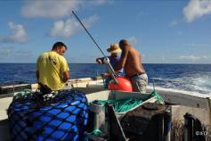 Maniobras con el palangre vertical de fondo ©IEO