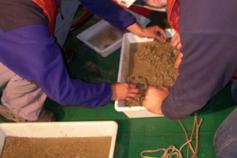 Muestra de la draga de arrastre repleta de barro / Drag sample full of mud ©ICM-CSIC