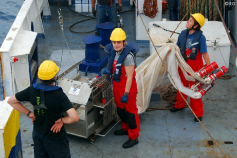 Preparando la Multinet para ser largada ©IEO