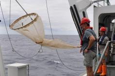 WP2 plankton net ©IEO