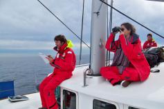 Realizando avistamientos y tomando datos / Undertaking watching and taking notes ©CEMMA