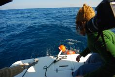 Lanzando Ear © SUBMON 