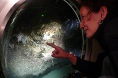 Observando el fondo submarino en el interior del JAGO / Observing the sea botton inside the JAGO ©JAGO/ICM-CSIC