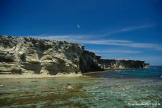 Isla de Alborán. Juan Bécares SEO/BirdLife