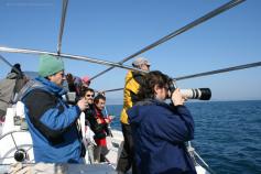 Diferentes socios observando aves marinas en la salida práctica del taller ©Fundación Biodiversidad