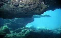 ©Rogelio Herrera/WWF España