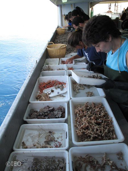 Triado (C) IEO-Alberto Serrano